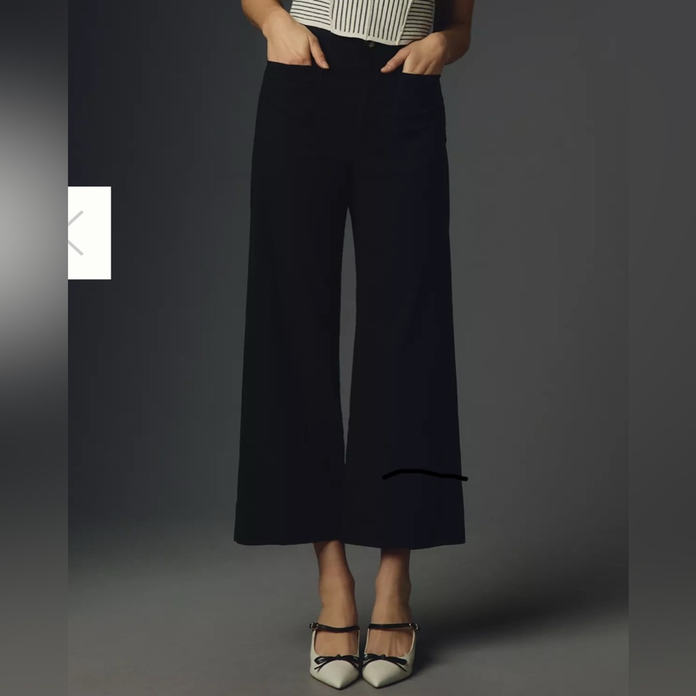 Maeve by Anthropologie “The Colette” cropped wide leg pants size 25 like new